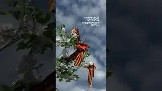 Вечная память героям, с праздником 🙏 