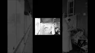 Испанский грипп убил больше людей, чем Первая мировая война. #shorts #испанка #история #факты #грипп