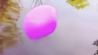 Коры вейп