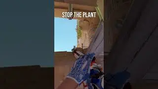 stop the plant on A site Anubis 