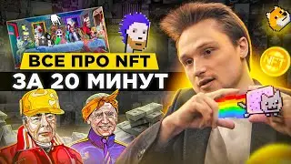 Everything You Need to Know About NFTs in 20 Minutes | NFTs for Dummies