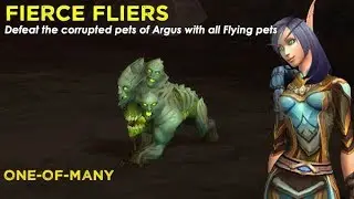 One-of-Many - Flying team