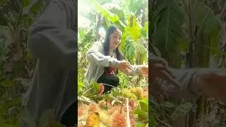 Good Sunday,eating rambutan #fruits #youtubeshorts