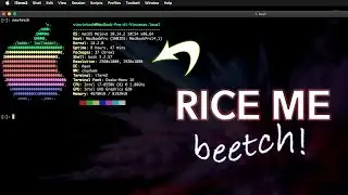[CHUNKWM + SKHD] - Mac OS X Mojave deserves a Tiling Window Manager system too!