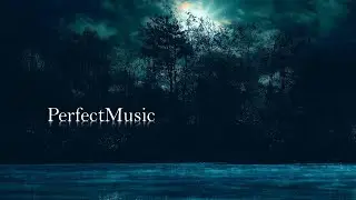 Purrple Cat - Dark Forest (No Copyright Music)