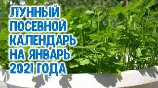 Агрогороскоп. Лунный посевной календарь на январь 2021 года