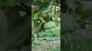 Израиль- любовь моя 😍 