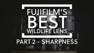 What is Fujifilm's sharpest lens for wildlife photography - PART 2 - Sharpness
