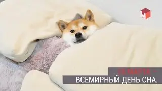 18 марта - Всемирный День Сна