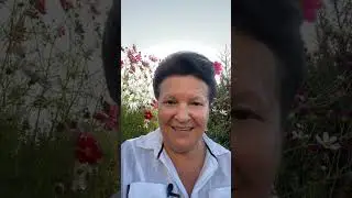 Как работать в интернете благодаря обучению?