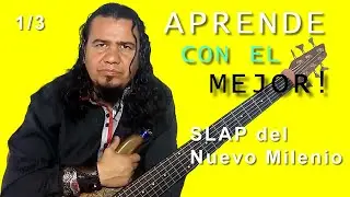 PALM SLAP 1/3 | Curso Completo | Clases para BAJO ELÉCTRICO | 🎸 🤘😎 HD
