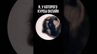 Мем про онлайн курсы английского 