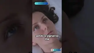 Understanding Hypnic Jerks: The Startling Twitches of Sleep