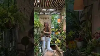 ПРИЗНАВАЙТЕСЬ, КТО ГРЕШИЛ ТАКИМ?🌿