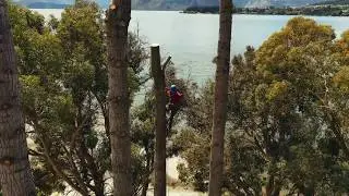 Roys Bay Wanaka Tree Care