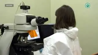 В России утвердили правила транспортировки и хранения вакцины от коронавируса