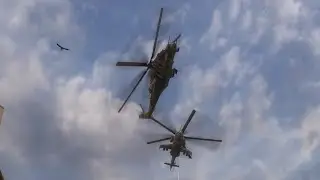 Flew away, devils