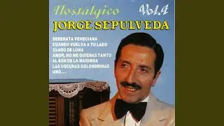 Las Oscuras Golondrinas