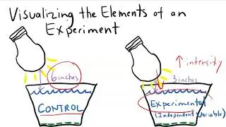 Biological Experimentation