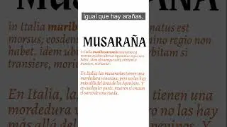 MUSARAÑA 