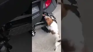 Лучшие Приколы 2023 Часть 16