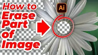 How to Erase Part Of An Image In Illustrator - Make Transparent Background in Adobe Illustrator