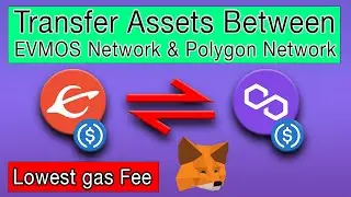 How to transfer your funds between EVMOS network and Polygon network | Lowest fee | Connext Bridge