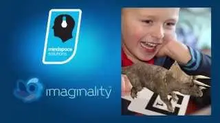 Imaginality - Brief Overview