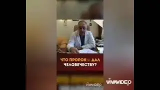 Отправить