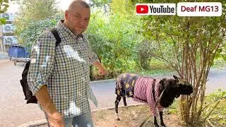 С друзьями (ДоВиМ) в Москве.
