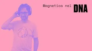 Magnetica nel DNA