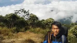 Lagu Barat terpopuler 2019
