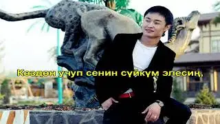 Бекнур   Сүйүүмдөн кетпедим
