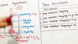 Percobaan Fotosintesis : Ingenhousz dan Sachs