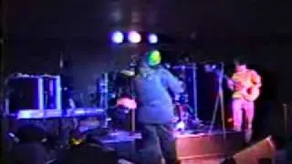 Shawn Lane - Serpents and Pigs (Live) 1995 ...Shawn is on fire