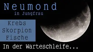 KREBS ♋ SKORPION ♏ FISCHE ♓ ✖ In der Warteschleife ✖ NEUMOND | 7. September 2021