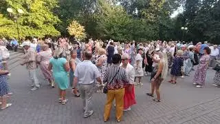 Кукушка........ 25.08.24 Гомель парк Луначарского 🥰