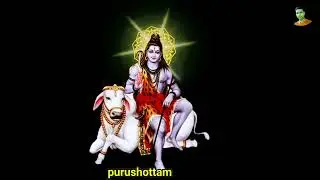 Mahadev black screen effects video
