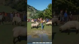 Goats, pigs and more with Planet Zoo! 