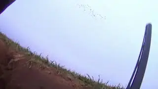 Охота на гуся  2019 г