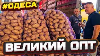 🍉 Кавуни 🍈 Дині 🥔 Картопля  👀 Оптові ціни на овочі та фрукти ⚓ Одеса 🌽 Ринок Початок 27.08.2024 👍