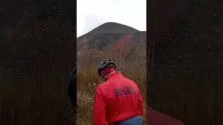 шахтный террикон в лесу