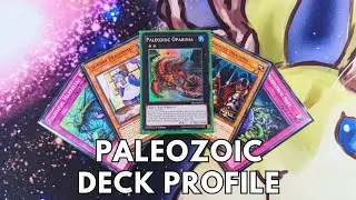 Competitive Paleozoic deck profile May 2024 TCG Yugioh