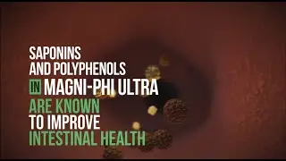 Product Overview: Magni-Phi Ultra