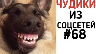 Доза Смеха ВЗРОСЛЫЙ ЮМОР 2021 ОКТЯБРЬ СМЕХ ДО СЛЁЗ ЛУЧШИЕ  ПРИКОЛЫ l Best Coub 2021
