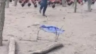 Полководец 👍