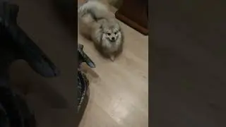 #вовочка
