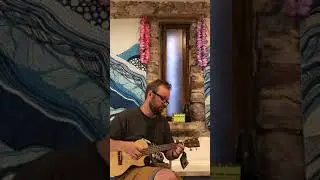 Kala spruce scallop tenor