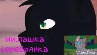 коты воители наобарот