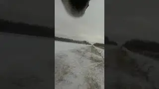 За сколько пробежит 1 км? 